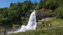 Private Guided Hardangerfjord Day Tour