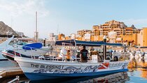 Private Half-Day Boat Diving Tour