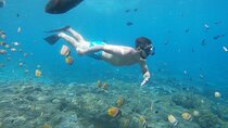 Bali Nusa Penida and Private Snorkeling (Manta Bay, Gamat, Wall) 