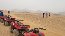 Private Quad Bike Safari Experience in Luxor