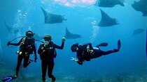 Sanur Open Water Course learn diving in 3 Days - Get certified & Dive everywhere