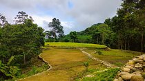 Bunkuany Tayrona Tour.