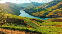 The Douro Valley Tour from Porto