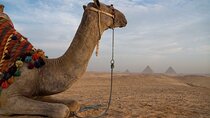 Private Half Day Tours To Giza Pyramids And Sphinx
