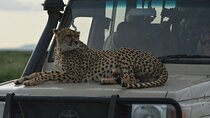 4-Day Small-Group Tour of Tanzania