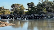 Saadani National Park Day Tour