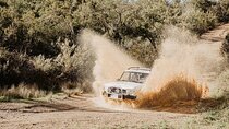 Family Jeep Safari up to 6 PAX