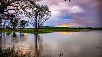 02 Days Private Dambulla & Habarana Tour With Village Experience From Colombo