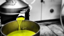 Lisjak Olive Estates Private Tour with Olive Oil Tasting