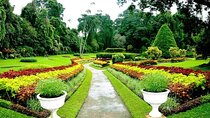 Day Tour To Kandy With Ranawana Purana Rajamaha Viharaya From Colombo