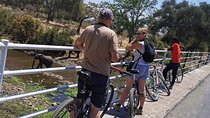 Nature and Falls Tours