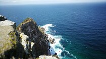 Best of the Cape Full Day Private Tour