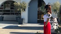 3 Wineries wine tasting & Greek Meal -Food and Wine pairing