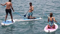 Paddle Surf 