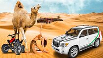 Dubai Desert Safari- Sharing