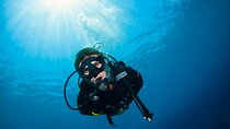 2 Days & 1 Night - 2 Dives in Lembongan/Penida (for certified divers) 