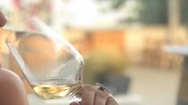 Santorini wine tasting and Traditional Cave Settlement Tour