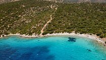 Orak island Boat Tour