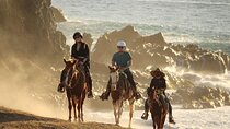 Horse Back Ridding Tour on the Pacific Ocean & Desert