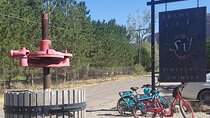 Moab Back Roads, History and Winery E-Bike Tour