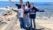 The Private San Diego Highlights Tour