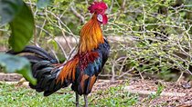 Day Excursions to Wasgamuwa National Park From Colombo