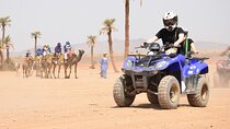 Live an unforgettable adventure, quad ride in the palm grove 