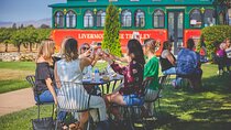 4 Hour Livermore Valley Wine Tour