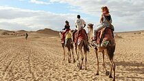Egyptjolly Full-Day Tour to Giza Pyramids, Sphinx, Memphis, and Saqqara