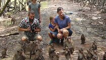 Private Can Gio Mangrove Forest 1 Day