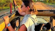 3 Days 2 Nights Private Safari Tour in Mikumi