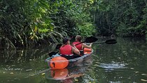Clear Kayak Tour at Punta Uva 