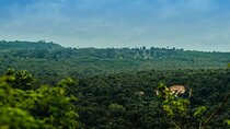Private Full Day Pugu Hills Bird watching & Hiking