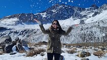 Nature's Bliss: Cajon de Maipo & Melosas with Picnic
