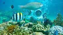 Bali Sea Walker