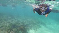 5 Days Galapagos Extreme - "Santa Cruz and Isabela Island "