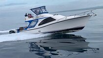 Transfer from Santa Cruz Island to San Cristobal Island