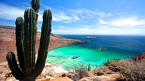 Espiritu Santo Island Full-Day Cruise with Snorkeling and Lunch! Round Trip