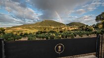 Visit the Finca and olive grove, extra virgin olive oil tasting and snack