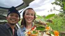 Ubud Waterfall Swing And Spring Temple Private Guided Tour
