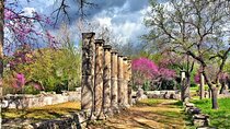 Private Excursion to Ancient Olympia - bee farm & winery