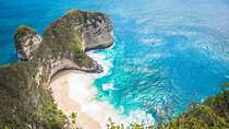 Bali Nusa Penida West Private All-Inclusive Tour