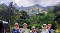 Halfday Private Mudpools,Veseisei Fijian Village,Sleeping Giants Garden&Shopping