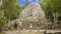 Deluxe 5x1 Tulum, Coba, Cenote & 5th Avenue from Playa del Carmen