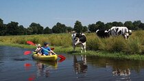 Amsterdam Countryside Bike and Kayak Tour
