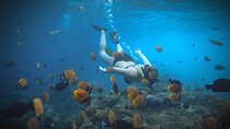 Ultimate Nusa Penida Experience 2D1N Private Tour <> All-Included