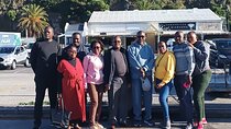 Cape of good hope and have to see ostriches penguin, bamboons 