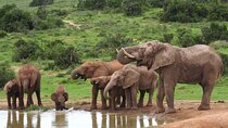 5-Day Tour to Eastern Cape of South Africa