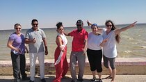 Fayoum Adventure: Whales Valley,4x4 Desert Safari & Wadi Rayan 