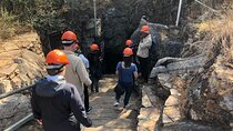 Half Day Cradle Of Humankind Tour